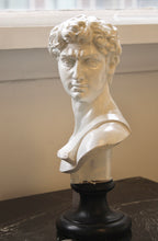 Load image into Gallery viewer, David’s Bust
