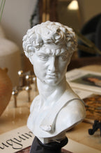 Load image into Gallery viewer, David’s Bust
